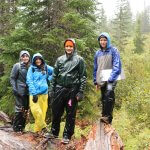 CASEE students standing on a downed tree at Mount St. Helens