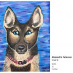 blue eyed husky puppy drawing with bright blue abstract background