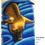 tiny dog wrapped in blue blanket drawing