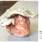 mushroom ceramic piece