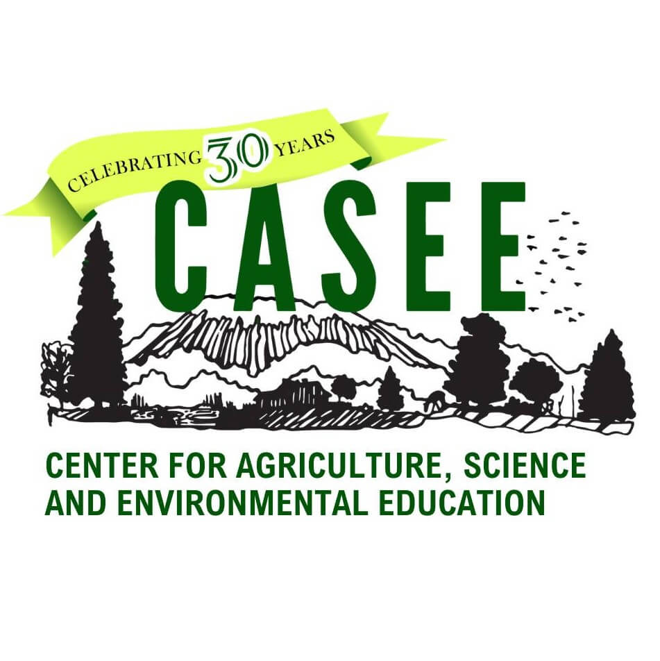 CASEE 30th anniversary logo