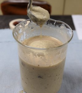 A blended mix of food used for a biology lab experiment