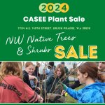 CASEE Plant sale
